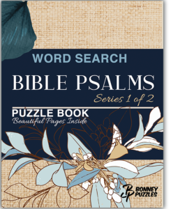 Bible Psalms Word Search Book